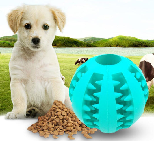 Dog Chew Toys